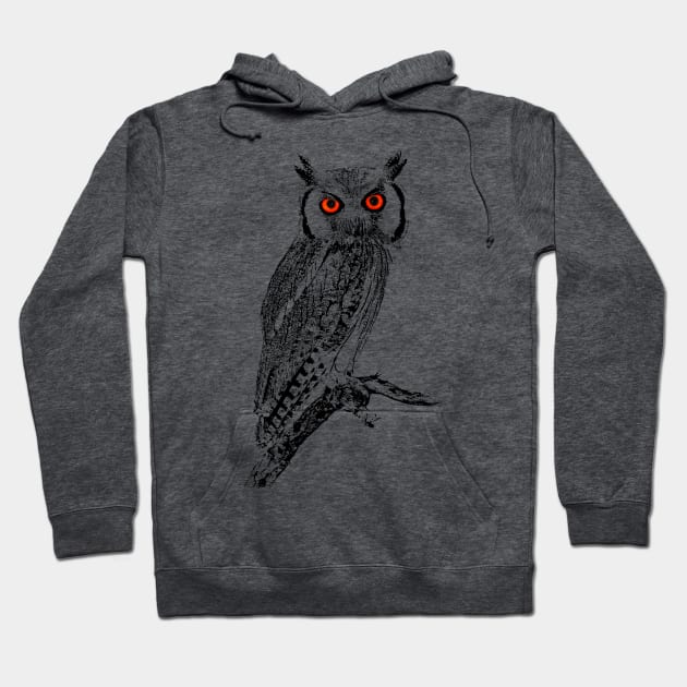 Southern White-faced Owl | African Wildlife Hoodie by scotch